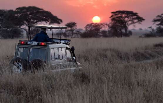 África do Sul Express África do Sul Express